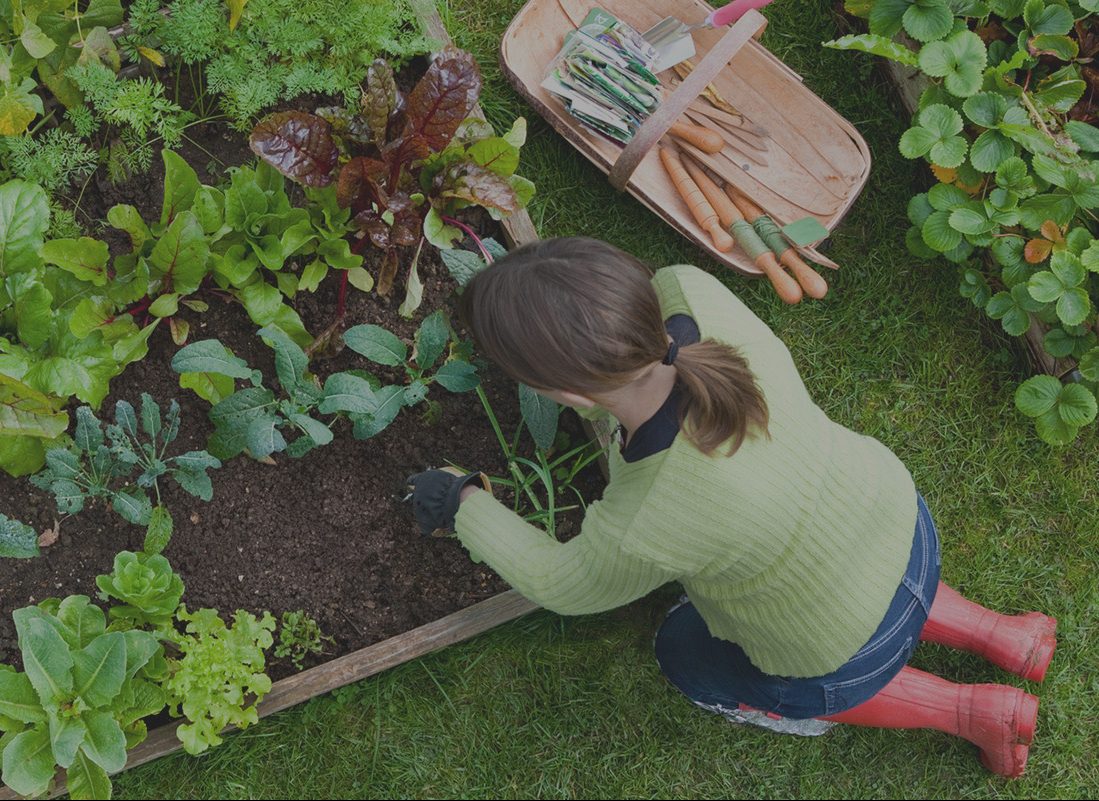 woman wearing green sweater, blue jeans, and red boots kneeling in a garden planting in soil with green plants surrounding her.