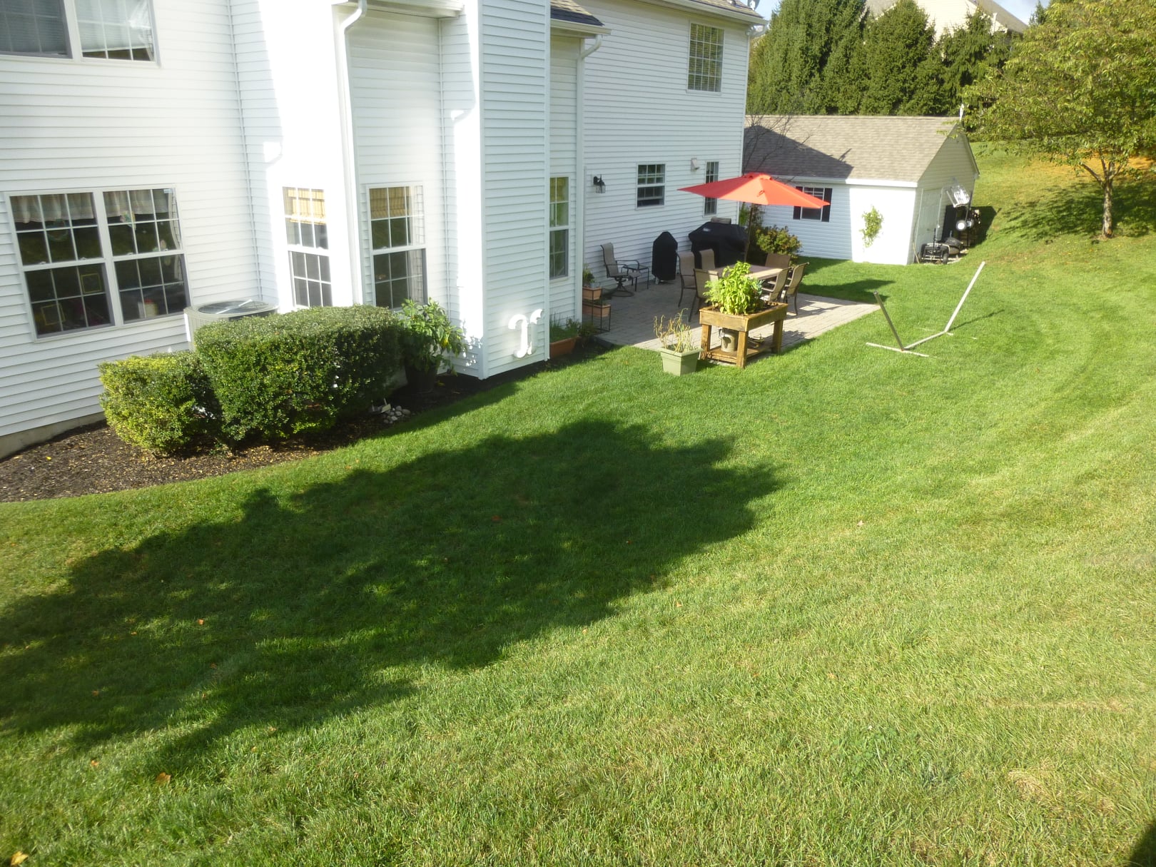 Before image of home backyard before work with thick and dry grass.