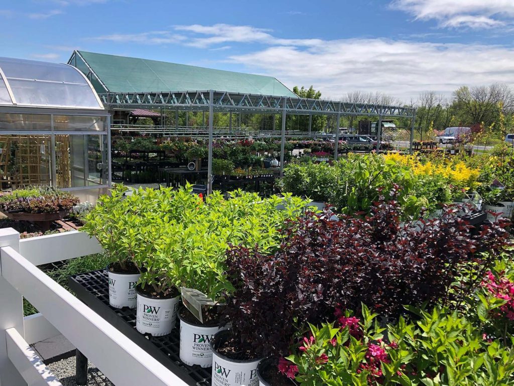 Exterior of greenhouse on a bright day with flowers blooming.